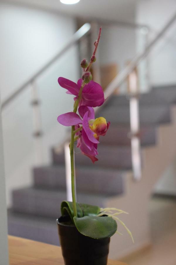 Guest house Manuela Punta Umbria